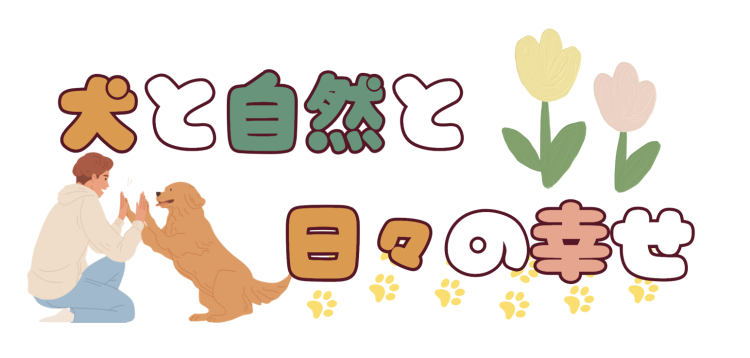 カワイイがいっぱい！ワンダーランド